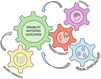 Insights into disability and psycho-social care of patients with inflammatory bowel disease